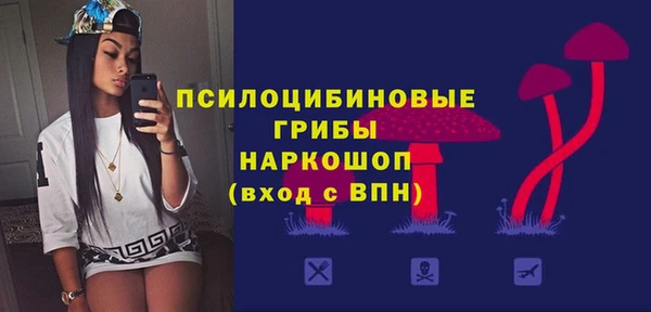 молекула духа Абинск