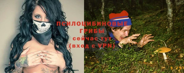 молекула духа Абинск
