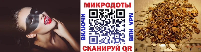 Галлюциногенные грибы прущие грибы  блэк спрут ссылка  Тутаев 