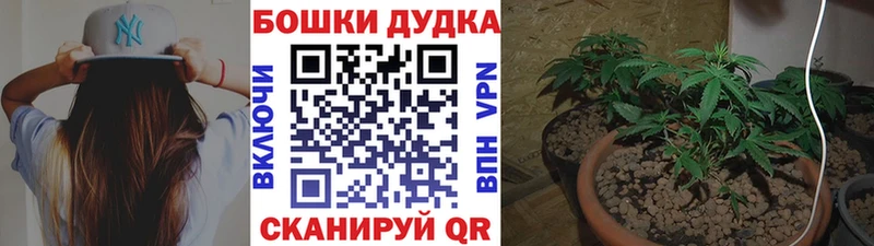 Канабис White Widow  сколько стоит  Тутаев 